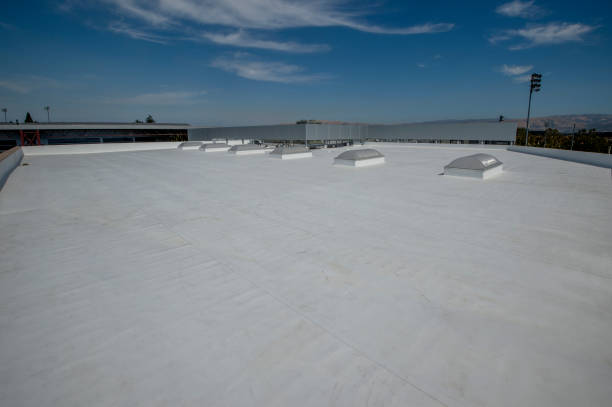 Best Steel Roofing  in Germantown Hls, IL